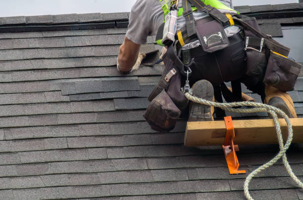 Best Roof Leak Repair  in Laureles, TX