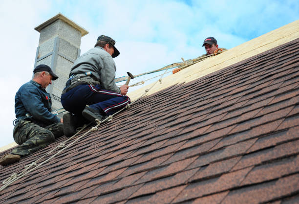 Best Residential Roofing Contractor  in Laureles, TX